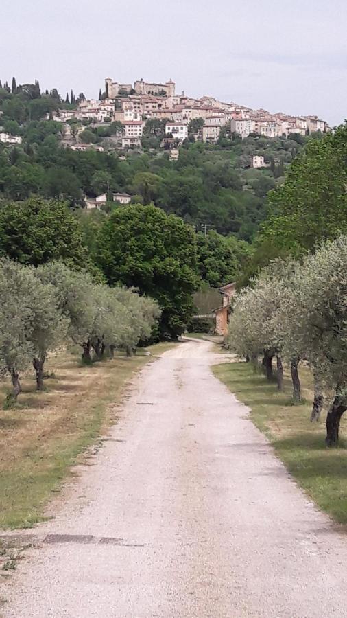 Bed and Breakfast La Rose Des Vents Montauroux Exterior foto
