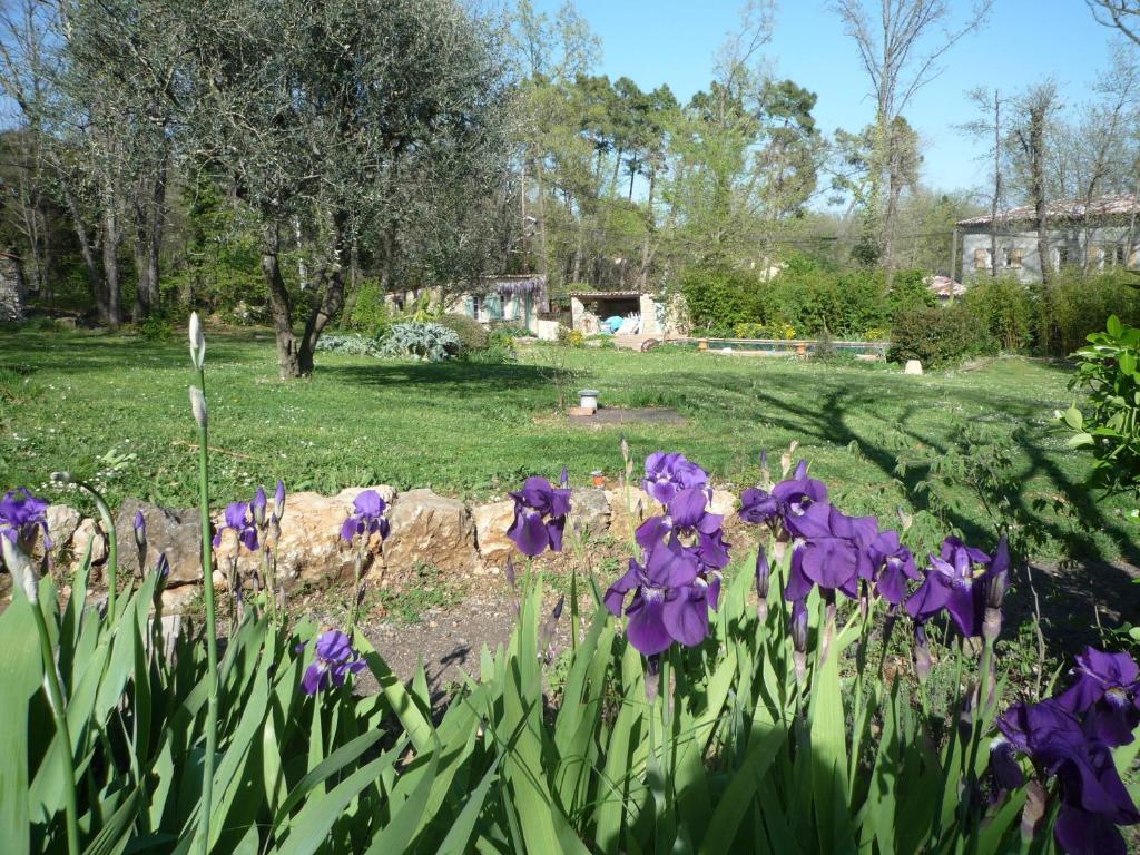 Bed and Breakfast La Rose Des Vents Montauroux Exterior foto